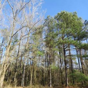 Photo of SOLD!!  2.45 Acres of Residential Land For Sale in Pender County NC!