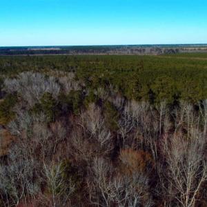 Photo of SOLD!!  2.45 Acres of Residential Land For Sale in Pender County NC!