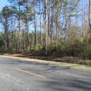 Photo of SOLD!!  2.45 Acres of Residential Land For Sale in Pender County NC!
