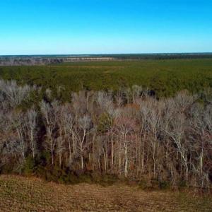 Photo of SOLD!!  2.45 Acres of Residential Land For Sale in Pender County NC!