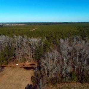 Photo of SOLD!!  2.45 Acres of Residential Land For Sale in Pender County NC!