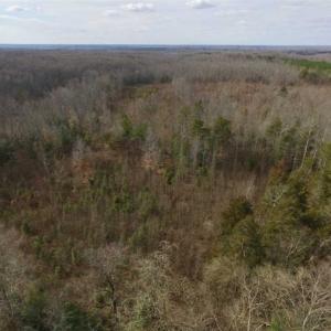 Photo of SOLD!!  15 Acres of Residential and Recreational Land in Goochland County VA!