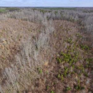 Photo of SOLD!!  15 Acres of Residential and Recreational Land in Goochland County VA!
