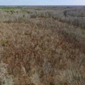 Photo of SOLD!!  15 Acres of Residential and Recreational Land in Goochland County VA!