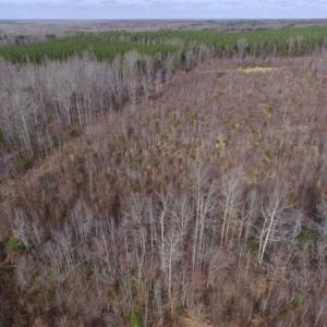 Photo of SOLD!!  15 Acres of Residential and Recreational Land in Goochland County VA!