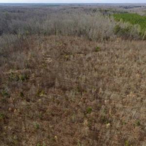 Photo of SOLD!!  15 Acres of Residential and Recreational Land in Goochland County VA!
