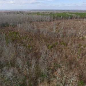 Photo of SOLD!!  15 Acres of Residential and Recreational Land in Goochland County VA!