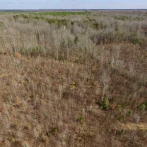Photo of SOLD!!  15 Acres of Residential and Recreational Land in Goochland County VA!