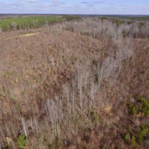 Photo of SOLD!!  15 Acres of Residential and Recreational Land in Goochland County VA!