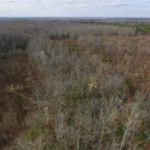 Photo of SOLD!!  15 Acres of Residential and Recreational Land in Goochland County VA!