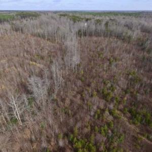 Photo of SOLD!!  15 Acres of Residential and Recreational Land in Goochland County VA!