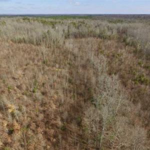 Photo of SOLD!!  15 Acres of Residential and Recreational Land in Goochland County VA!