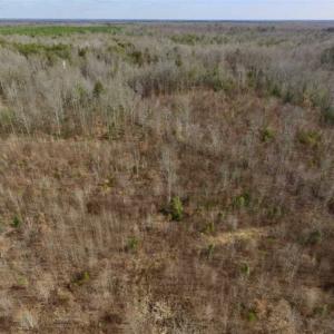 Photo of SOLD!!  15 Acres of Residential and Recreational Land in Goochland County VA!