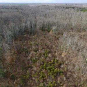 Photo of SOLD!!  15 Acres of Residential and Recreational Land in Goochland County VA!
