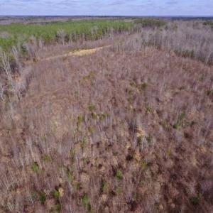Photo of SOLD!!  15 Acres of Residential and Recreational Land in Goochland County VA!
