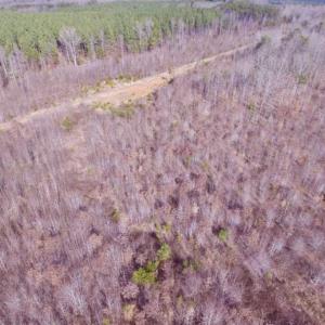 Photo of SOLD!!  15 Acres of Residential and Recreational Land in Goochland County VA!