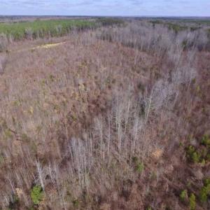 Photo of SOLD!!  15 Acres of Residential and Recreational Land in Goochland County VA!