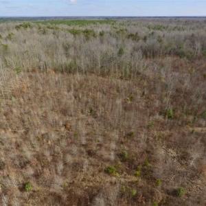 Photo of SOLD!!  15 Acres of Residential and Recreational Land in Goochland County VA!