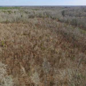 Photo of SOLD!!  15 Acres of Residential and Recreational Land in Goochland County VA!