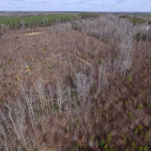 Photo of SOLD!!  15 Acres of Residential and Recreational Land in Goochland County VA!
