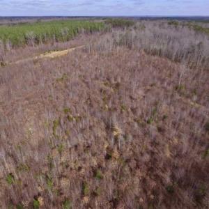 Photo of SOLD!!  15 Acres of Residential and Recreational Land in Goochland County VA!