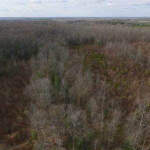 Photo of SOLD!!  15 Acres of Residential and Recreational Land in Goochland County VA!