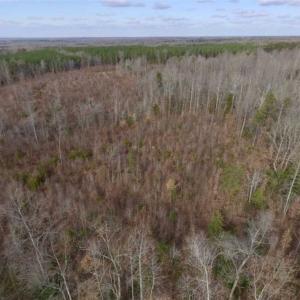 Photo of SOLD!!  15 Acres of Residential and Recreational Land in Goochland County VA!
