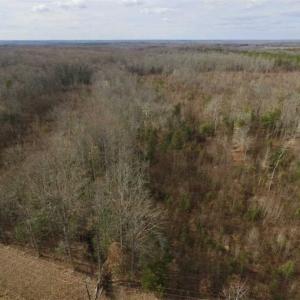 Photo of SOLD!!  15 Acres of Residential and Recreational Land in Goochland County VA!
