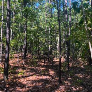 Photo of SOLD!!  6.36 Ac of Residential and Investment Land in Granville Co NC!