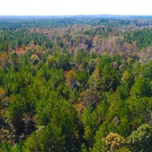 Photo of SOLD!!  6.36 Ac of Residential and Investment Land in Granville Co NC!