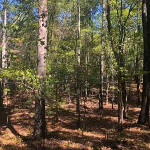 Photo of SOLD!!  6.36 Ac of Residential and Investment Land in Granville Co NC!