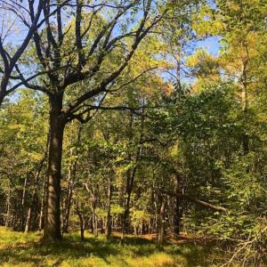 Photo of SOLD!!  6.36 Ac of Residential and Investment Land in Granville Co NC!