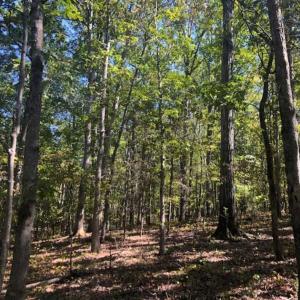Photo of SOLD!!  6.36 Ac of Residential and Investment Land in Granville Co NC!