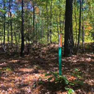 Photo of SOLD!!  6.36 Ac of Residential and Investment Land in Granville Co NC!