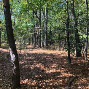 Photo of SOLD!!  6.36 Ac of Residential and Investment Land in Granville Co NC!