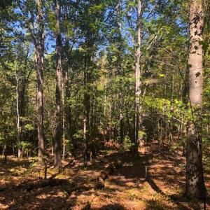 Photo of SOLD!!  6.36 Ac of Residential and Investment Land in Granville Co NC!