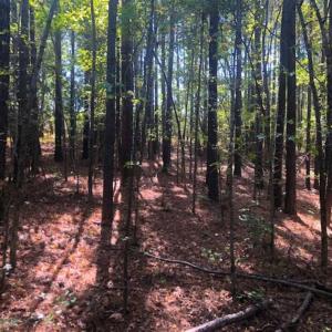 Photo of SOLD!!  6.36 Ac of Residential and Investment Land in Granville Co NC!