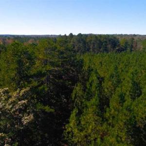 Photo of SOLD!!  6.36 Ac of Residential and Investment Land in Granville Co NC!