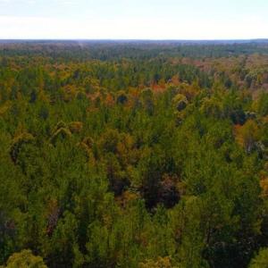 Photo of SOLD!!  6.36 Ac of Residential and Investment Land in Granville Co NC!