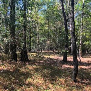 Photo of SOLD!!  6.36 Ac of Residential and Investment Land in Granville Co NC!