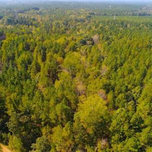 Photo of SOLD!!  6.36 Ac of Residential and Investment Land in Granville Co NC!
