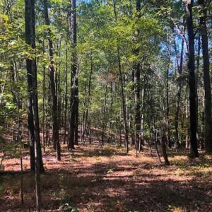 Photo of SOLD!!  6.36 Ac of Residential and Investment Land in Granville Co NC!