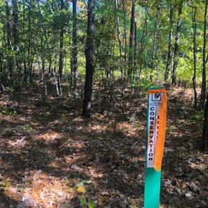 Photo of SOLD!!  6.36 Ac of Residential and Investment Land in Granville Co NC!