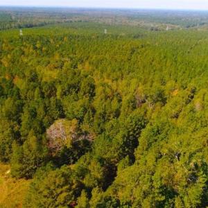 Photo of SOLD!!  6.36 Ac of Residential and Investment Land in Granville Co NC!