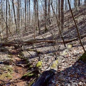 Photo of SOLD!!  5 Acres of Residential Lake & Hunting Land in Bedford County VA!