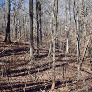 Photo of SOLD!!  5 Acres of Residential Lake & Hunting Land in Bedford County VA!