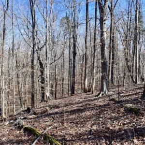 Photo of SOLD!!  5 Acres of Residential Lake & Hunting Land in Bedford County VA!