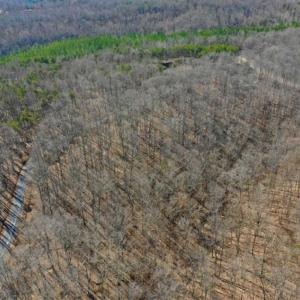 Photo of SOLD!!  5 Acres of Residential Lake & Hunting Land in Bedford County VA!