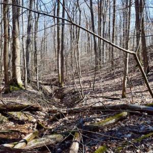 Photo of SOLD!!  5 Acres of Residential Lake & Hunting Land in Bedford County VA!