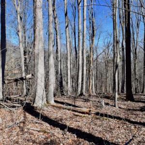 Photo of SOLD!!  5 Acres of Residential Lake & Hunting Land in Bedford County VA!